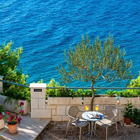 Lucica Gasthuis Mimice