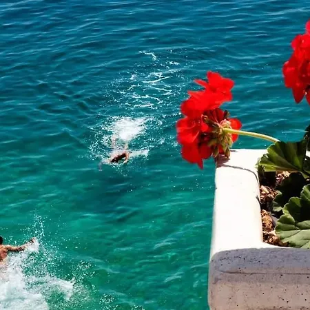 Lucica Gasthuis Mimice